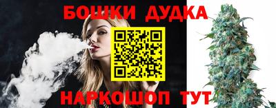 прущие крисы Обь