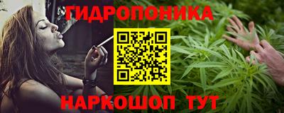 прущие крисы Обь