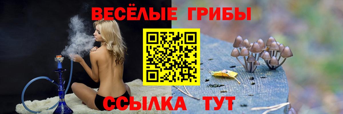 Сердобск  Псилоцибиновые грибы ЛСД  Вход с VPN 